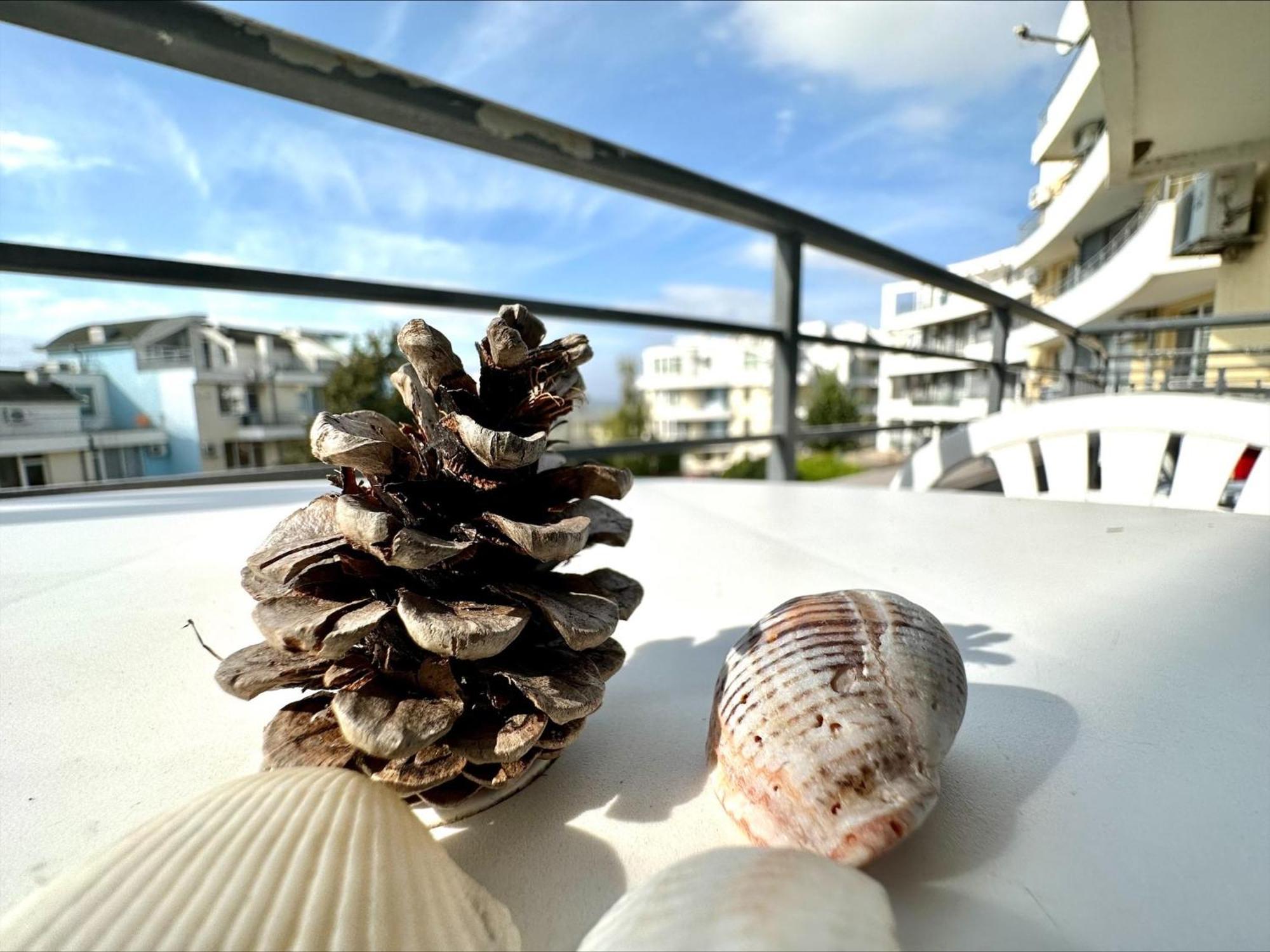 Menada Sunset Kosharitsa Apartments מראה חיצוני תמונה